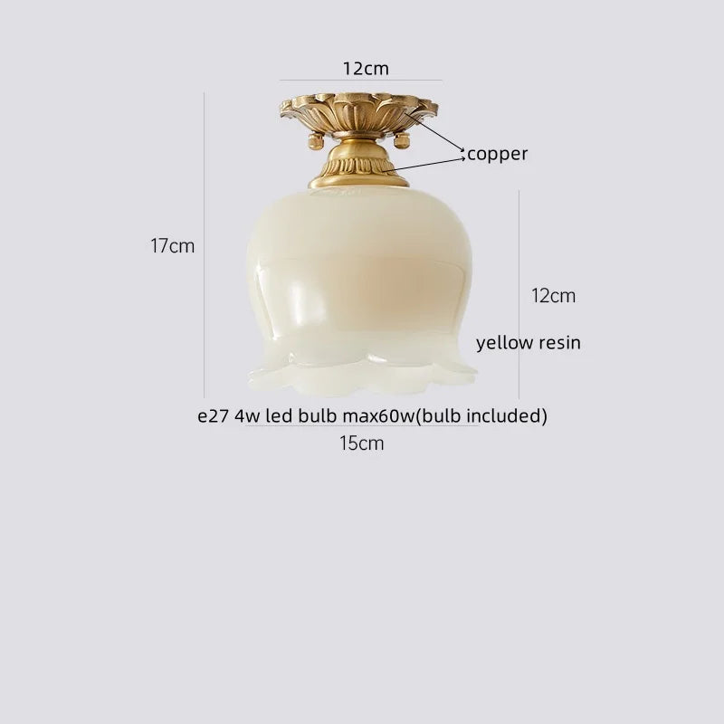 Axyaa Copper Glass LED Ceiling Lamp - Modern Indoor Lighting Fixtures