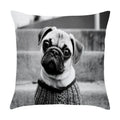 Axyaa Cute Pet Puppies Black and White Art Peach Skin Pillowcase