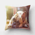 Axyaa Pug Dog Print Cushion Cover Throw Pillow for Sofa Living Room Decor