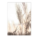 Axyaa Beige Dandelion Starfish Wall Art Print for Nordic Living Room Decor