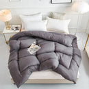 Axyaa Winter Warmth Quilt | All-Season Solid Color | Thick & Cozy