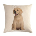 Axyaa Pug Pet Dog Pattern Cotton Linen Throw Pillow Cover for Home Decor