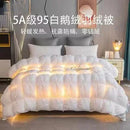 Axyaa White Goose Down Winter Quilt - 100% Cotton, Thick & Warm