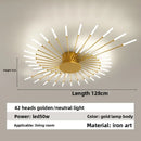 Axyaa Firework Decor LED Ceiling Lights for Living Room Bedroom Kitchen, Nordic Indoor Home Fixture