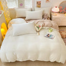 Axyaa Milk Velvet Winter Queen Duvet Cover Set, Soft & Cozy Coral Fleece Quilt
