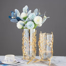 Axyaa Gold Metal Frame Glass Vase with Rattan Branches - Home Decor & Flower Arrangement