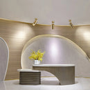 Axyaa LED Spotlight Ceiling Light for Modern Living Spaces