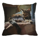 Axyaa Cat Print Linen Throw Pillowcase 45X45CM