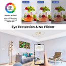 Axyaa LED Ceiling Light with Remote Control Dimming - Acrylic Chandelier for Home Decor