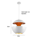 Axyaa Apple Pendant Lamp: Simple European Art LED Lighting for Home & Cafe