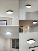 Axyaa Nordic LED Ceiling Light: Remote Control Chandelier for Bedroom Living Room Aisle