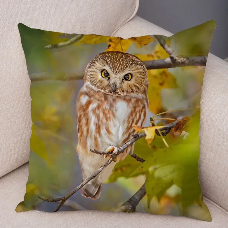 Axyaa Wild Owl Cushion Cover: Decorative Sofa Pillowcase for Home and Children's Room