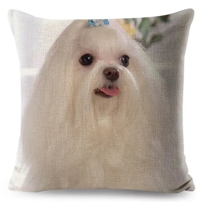 Maltese Dog Pillow Cover by Axyaa - Decorative Cushion Case for Home and Car