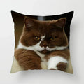 Axyaa Cute Cat Animal Pillowcase for Sofa Decoration in Living Room