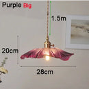 Axyaa Modern Nordic Glass Chandeliers LED Pendant Lights for Bedroom and Kitchen