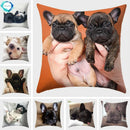 Axyaa French Bulldog Polyester Cushion Cover - Modern Sofa Throw Pillow Cover