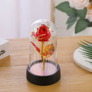 Axyaa Galaxy Rose LED Eternal Flower Lamp Nightlight - Perfect Valentine's Day Wedding Gift