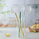 Axyaa Glass Spoon with Colored Heat-Resistant Handle for Home