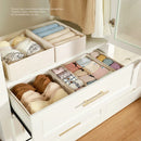 Axyaa Drawer Organizers Underwear Bra Socks Closet Storage Containers