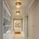 Axyaa Modern Iron Glass LED Ceiling Lamp for Home Lighting