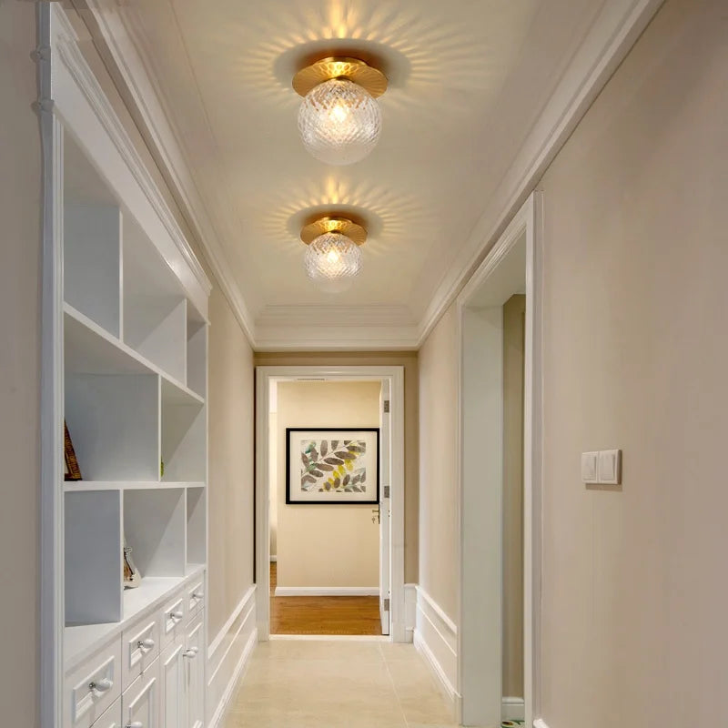 Axyaa Modern Iron Glass LED Ceiling Lamp for Home Lighting