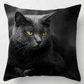 Axyaa Cat Collection Pillowcase - Home & Office Decor Square Pillowcase