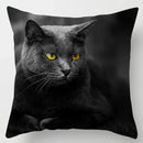 Axyaa Cat Collection Pillowcase - Home & Office Decor Square Pillowcase