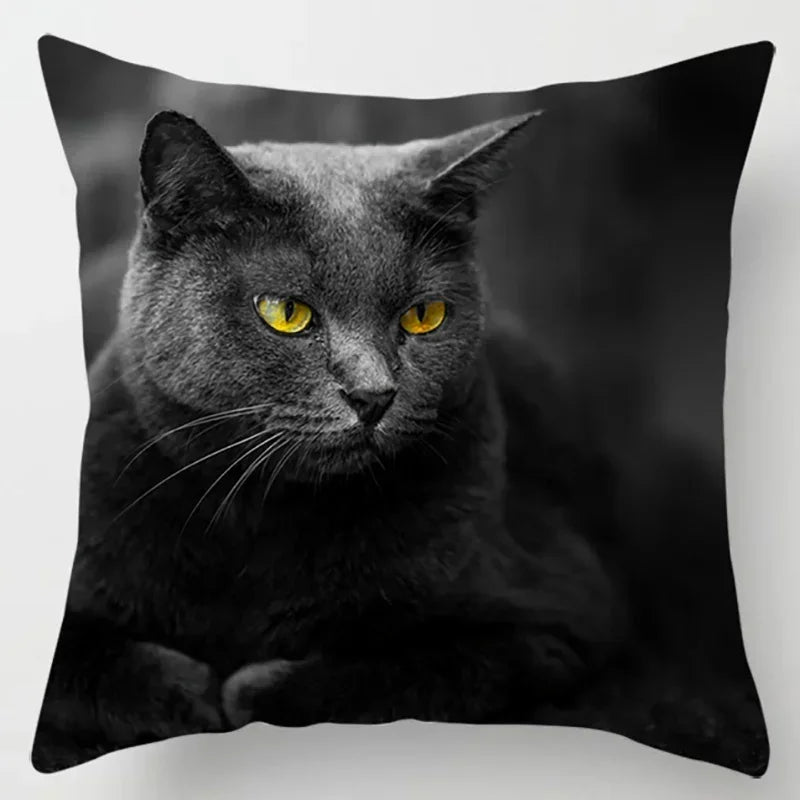 Axyaa Cat Collection Pillowcase - Home & Office Decor Square Pillowcase