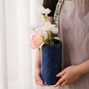 Axyaa Ceramic Flower Vase: European Light Luxury Home Decor Mini Hydroponic Ornament