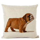 Axyaa French Bulldog Linen Cushion Cover for Cute Dog Lovers