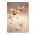 Axyaa Dried Grass Reed Landscape Wall Art Print for Home Decor