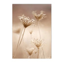 Axyaa Dried Grass Reed Landscape Wall Art Print for Home Decor