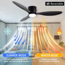 Axyaa Minimalist Ceiling Fan LED Light Motor High Air Volume Remote Control.