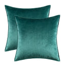 Axyaa Velvet Throw Pillow Cover Set for Sofa Bedroom, Modern Gift Pillowcase