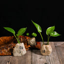 Axyaa Zen Stone Ceramic Vase Planter for Living Room Table & Pothos
