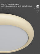 Axyaa Modern LED Ceiling Lamp for Master Bedroom, Study, Living Room, and Children's Room