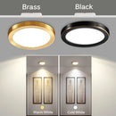 Axyaa LED Copper Ceiling Downlights: Ultra-Thin Round Panel Lamp for Kitchen, Bedroom, Stairway - 110V/220V
