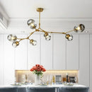 Axyaa Glass LED Ceiling Chandelier Pendant Light for Kitchen Dining Living Room