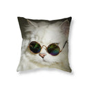 Axyaa Black Cat Cushion Cover for Sofa, Car, Office, Game Chair - Cute & Funny