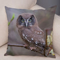 Axyaa Wild Owl Cushion Cover: Decorative Sofa Pillowcase for Home and Children's Room