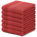 Axyaa 6Pcs Soft Cotton Kitchen Towels | Super Absorbent Dishcloth Set