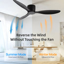 Axyaa Nordic Ceiling Fan with 6 Speed Remote Control for Large Spaces