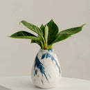 Axyaa Irregular Ink Graffiti Ceramic Vase for Home Decoration and Flower Arrangement