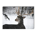 Axyaa Winter Snow Animals Canvas Wall Art Print for Living Room