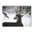 Axyaa Winter Snow Animals Canvas Wall Art Print for Living Room