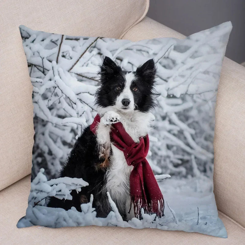 Scottish Border Collie Pillowcase - Axyaa Dog Print Decor Cushion Cover