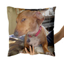 Axyaa Dachshund Dog Square Throw Pillow Cover 45cm x 45cm