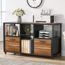Axyaa Wood File Cabinet with 2 Drawers, Mobile Lateral Filing, Printer Stand