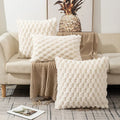 Axyaa Faux Fur Plush Throw Pillow Covers for Sofa Couch, 40x40CM Luxe Cushion Cover