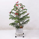 Axyaa Mobile Plant Stand Tray with Wheels - Rectangular Iron Base for Heavy Plants
